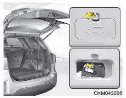 Votre véhicule est équipé d'un