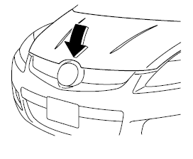 Toit ouvrant transparent